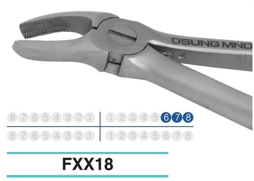 Adult Extraction Forcep, FXX18 - Osung USA