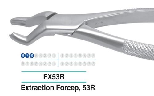 Dental Extraction Forcep UPPER MOLARS, FX53R - Osung USA