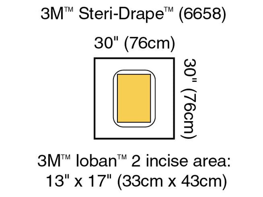 3M™ Steri-Drape™ Sterile Large Pouch Surgical Drape, 30 X 30 Inch, Sold As 20/Case 3M 6658